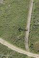 Lot 333 Greenview Ranches Drive - Photo 1