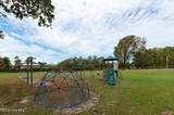 405 White Oak Drive - Photo 5