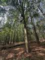 Lot 1 Dogwood Lane - Photo 4