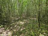 00 Alert Road - Photo 12