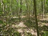 00 Alert Road - Photo 13