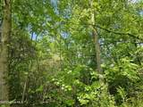00 Alert Road - Photo 14