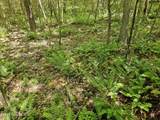 00 Alert Road - Photo 15