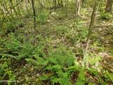 00 Alert Road - Photo 16