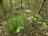 00 Alert Road - Photo 17