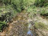 00 Alert Road - Photo 20