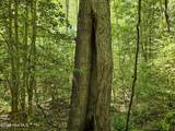 00 Alert Road - Photo 24