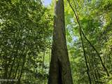 00 Alert Road - Photo 25