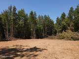 00 Alert Road - Photo 5
