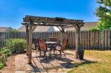 2458 Sunflower Drive - Photo 66