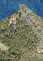1710 Colon Mintz Road - Photo 1