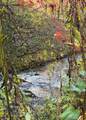 Lot 62 & Creek Lot A, Stone Ridge Falls Subdivision - Photo 1
