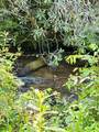 Lot 62 & Creek Lot A, Stone Ridge Falls Subdivision - Photo 3