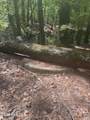 5, 6, 7 53 Off Highway - Photo 8