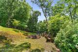 198 Monarch Butterfly Trail - Photo 44