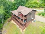198 Monarch Butterfly Trail - Photo 7