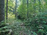 0 R J Mountain View Drive - Photo 4