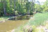 223 Bear Creek Road - Photo 9