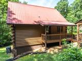 44 Red Wolf Trail Trail - Photo 3