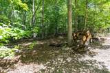 44 Red Wolf Trail Trail - Photo 34