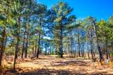 6978 Moontown Drive - Photo 15