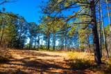 6978 Moontown Drive - Photo 9