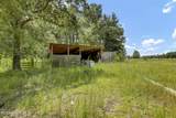 3001 Ebenezer Forrest Road - Photo 69