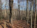 Lot 20 Wilderness Creek Way - Photo 1