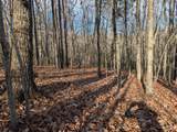 Lot 20 Wilderness Creek Way - Photo 10