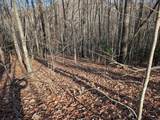 Lot 20 Wilderness Creek Way - Photo 11