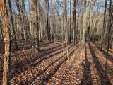 Lot 20 Wilderness Creek Way - Photo 12