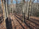 Lot 20 Wilderness Creek Way - Photo 13