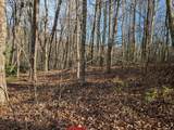 Lot 20 Wilderness Creek Way - Photo 14