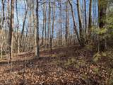 Lot 20 Wilderness Creek Way - Photo 15