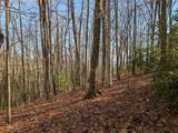 Lot 20 Wilderness Creek Way - Photo 18