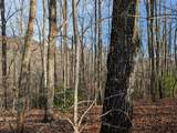 Lot 20 Wilderness Creek Way - Photo 19