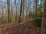 Lot 20 Wilderness Creek Way - Photo 22