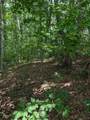 Lot 20 Wilderness Creek Way - Photo 24