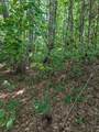 Lot 20 Wilderness Creek Way - Photo 25
