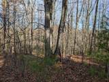 Lot 20 Wilderness Creek Way - Photo 3