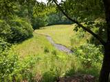 Lot 20 Wilderness Creek Way - Photo 6