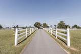 12247 Us 258 - Photo 3