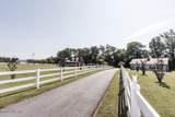 12247 Us 258 - Photo 46