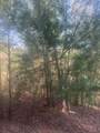 Lot 12 Rainbow Valley Drive - Photo 7