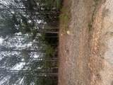 16.9 Ac Hwy 220 E - Photo 1