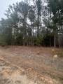 16.9 Ac Hwy 220 E - Photo 3