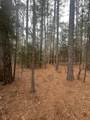 16.9 Ac Hwy 220 E - Photo 8