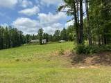 102 Antlers Trail - Photo 5