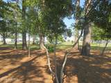 105 Mallard Court - Photo 14