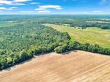 356 Massey-Doss Road - Photo 10